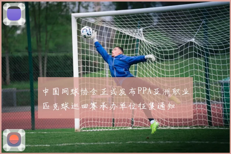 中国网球协会正式发布PPA亚洲职业匹克球巡回赛承办单位征集通知