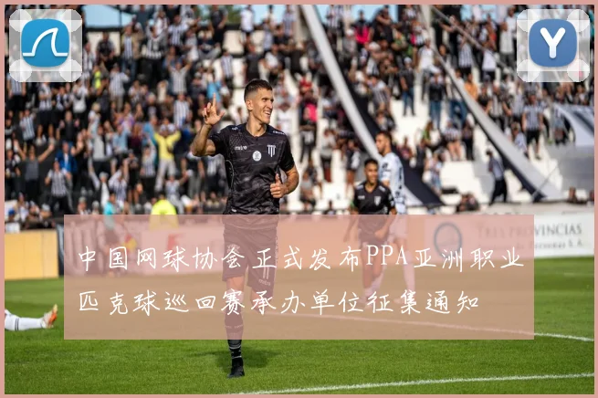 中国网球协会正式发布PPA亚洲职业匹克球巡回赛承办单位征集通知
